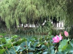 -渔沧米缸·绍兴美食(万达店)