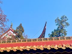 -南岳大庙