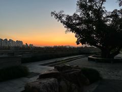 -江心屿景区