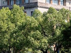 -浙江大学(玉泉校区)