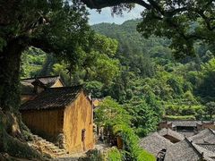 -杨家堂村