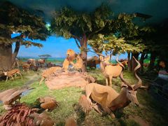 -国家自然博物馆