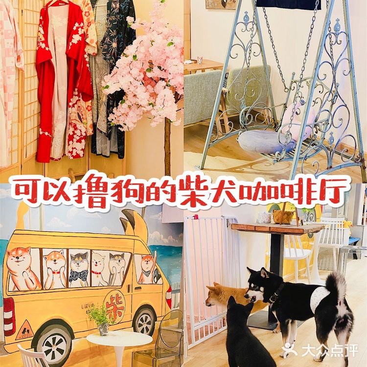 可以边吃边撸狗的柴犬咖啡厅