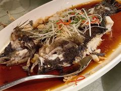 -高老庄绿色传奇(昊元生活广场店)