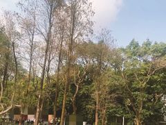 -人民公园(罗湖区)