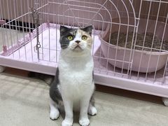 -藏猫猫咖啡主题馆(中央大道店)