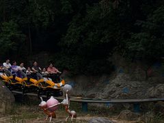 -杭州野生动物世界
