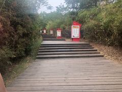 -鄱阳湖国家湿地公园