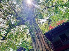 -南华禅寺