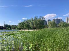 -太阳宫公园