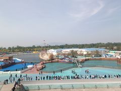 -秦皇岛乐岛海洋王国