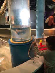 -北京科学中心儿童乐园