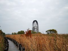 -苏州太湖湖滨国家湿地公园