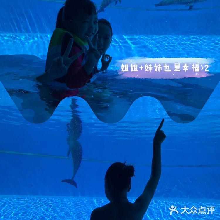 珠海长隆选亲子酒店，🐧+🐬>2