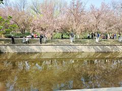 -海棠花溪(元大都城垣遗址公园)
