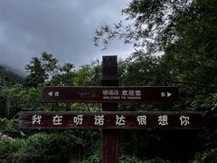 -呀诺达热带雨林