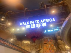 -卡通尼·Safari非洲探索乐园·生日会(金桥国际商业广场店)