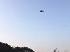 -艾溪湖湿地公园