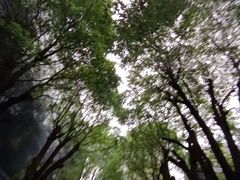 -龙潭水乡