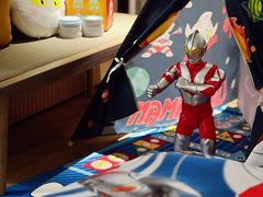 -成都天府丽都喜来登饭店