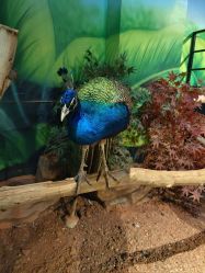 -未来动物城动物主题公园(大悦城店)