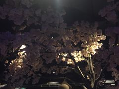 -蜜桃餐厅·江浙融合菜(荟聚购物中心店)