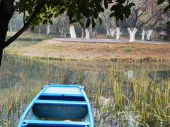 -天鹅湖体育公园