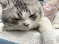 -博特宠物医院24h犬猫全科.骨科·异宠