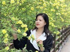 -小绿谷公园