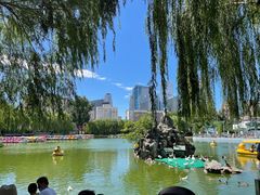 -团结湖公园