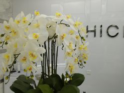 -HQ半永久纹绣纹眉