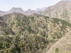 -秦岭天竺山生态文化旅游景区