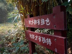 -重庆彩云湖湿地公园