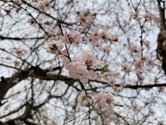 -南海子公园