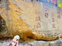 -七仙岭温泉国家森林公园