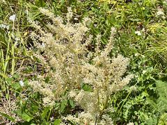 -白草畔自然风景区