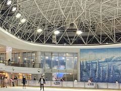 -世界之窗阿尔卑斯冰雪世界