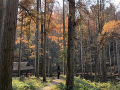 -波尔登森林公园
