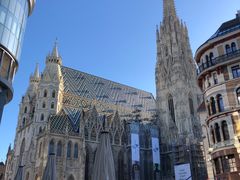 -斯蒂芬主教座堂(Stephansdom)