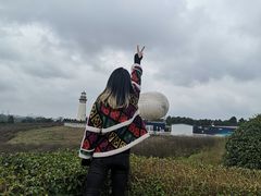-紫颐香薰山谷景区