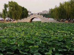 -长春市南湖公园