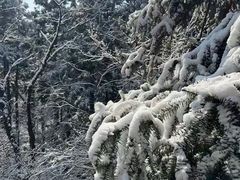 -溪口商量岗景区