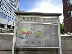 -香港大学