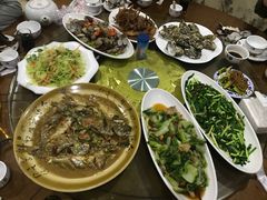 -渔家小院观海海肠捞饭地方菜(环海中路店)