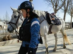 -北京群众马术培训基地