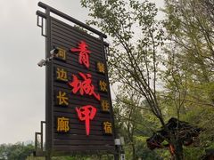 -青城甲(青城山店)