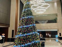 -上海嘉定喜来登酒店