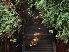 -张坝桂圆林公园