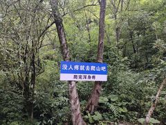 -鹿院坪生态旅游景区