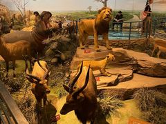 -陕西自然博物馆